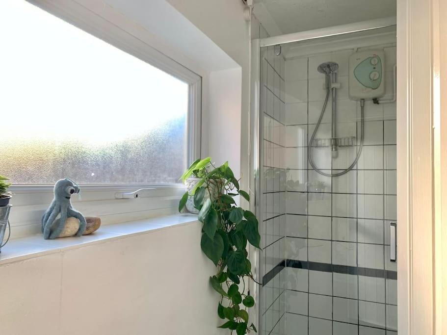 Cute Cottage 4 Mins From Cafes Station And Sea St Leonards-on-Sea Zewnętrze zdjęcie